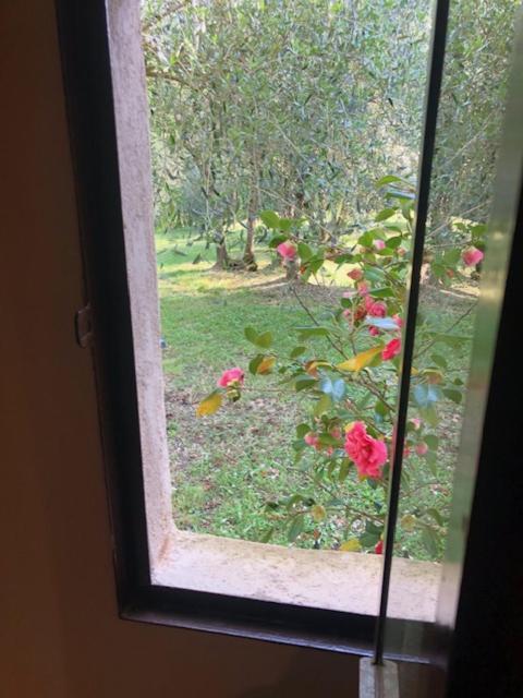 Agriturismo La Pieve Колле-ди-Валь-д'Эльса Экстерьер фото