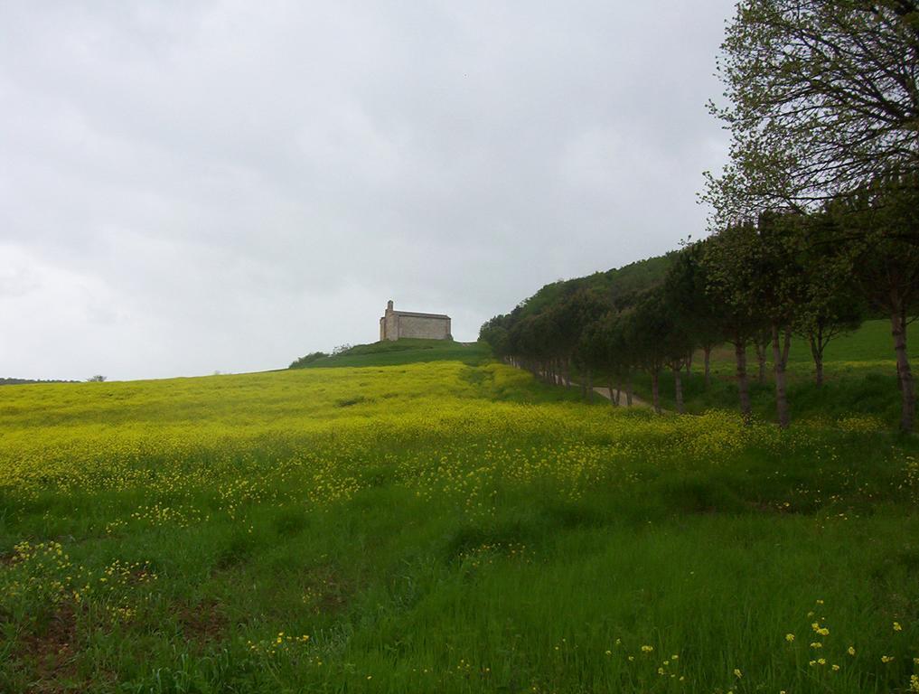 Agriturismo La Pieve Колле-ди-Валь-д'Эльса Экстерьер фото