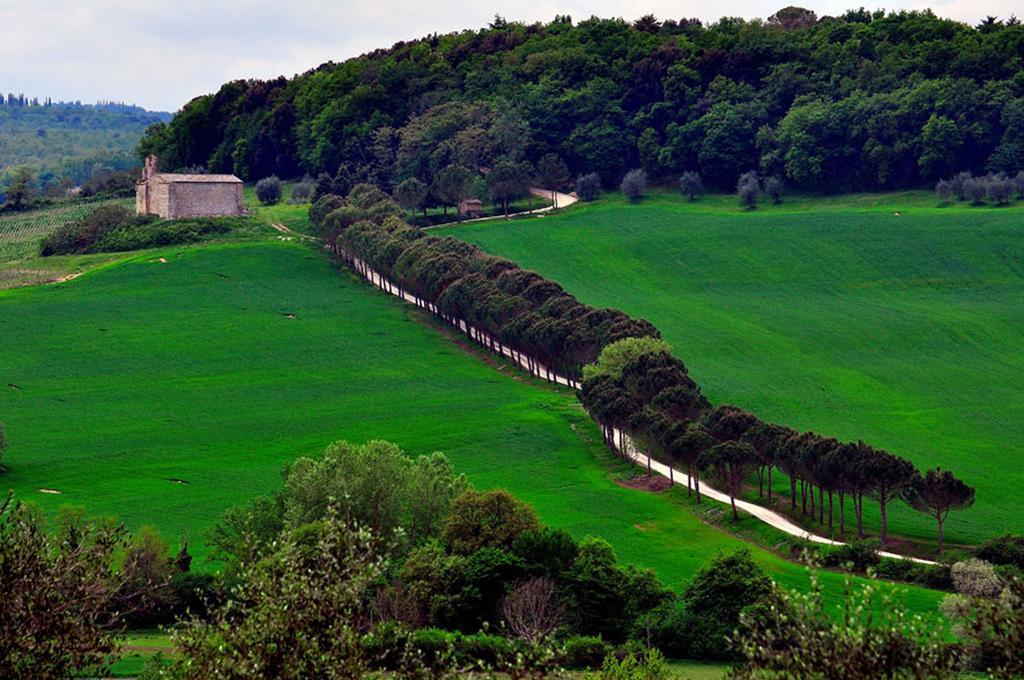 Agriturismo La Pieve Колле-ди-Валь-д'Эльса Экстерьер фото